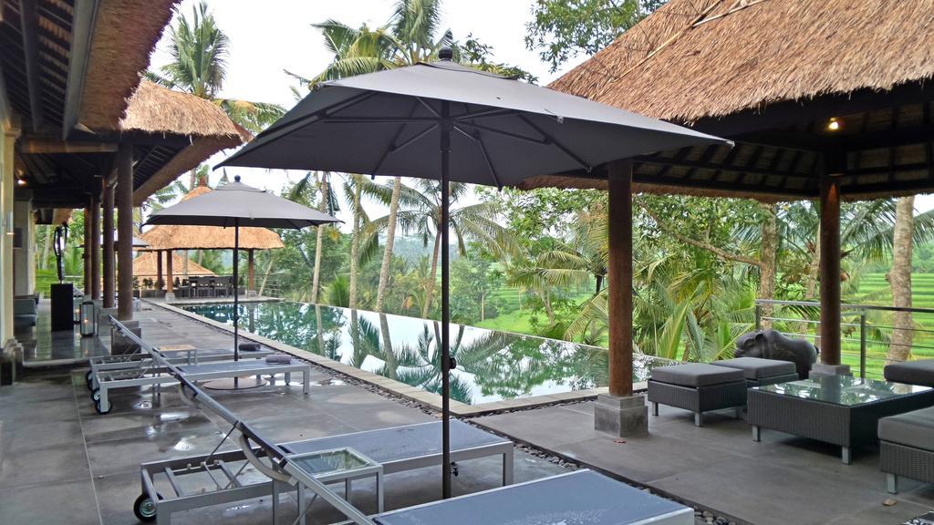 Rouge - Private Villa Condense Ubud Kültér fotó